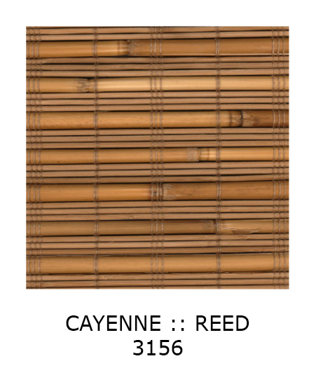 Cayenne Reed 