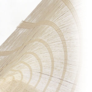 5 X 9 NWS Sample Swatch BIKINI : : RICE