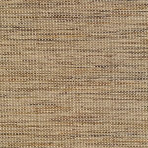 5 X 9 NWS Sample Swatch Bengal :: Tiger