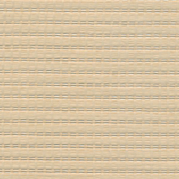 5 X 9 NWS Sample Swatch Calcutta :: Tan