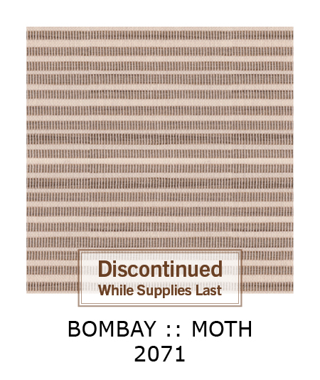 Bombay Moth